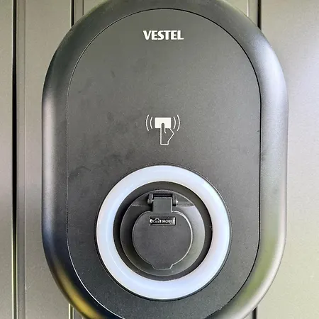 - Emily בורהאבה